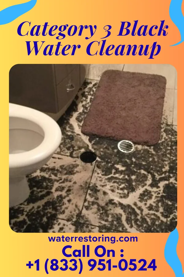 Category 3 Black Water Cleanup in Cullom, IL