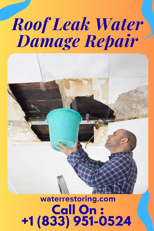 Roof Leak Water Damage Repair in Cullom, IL